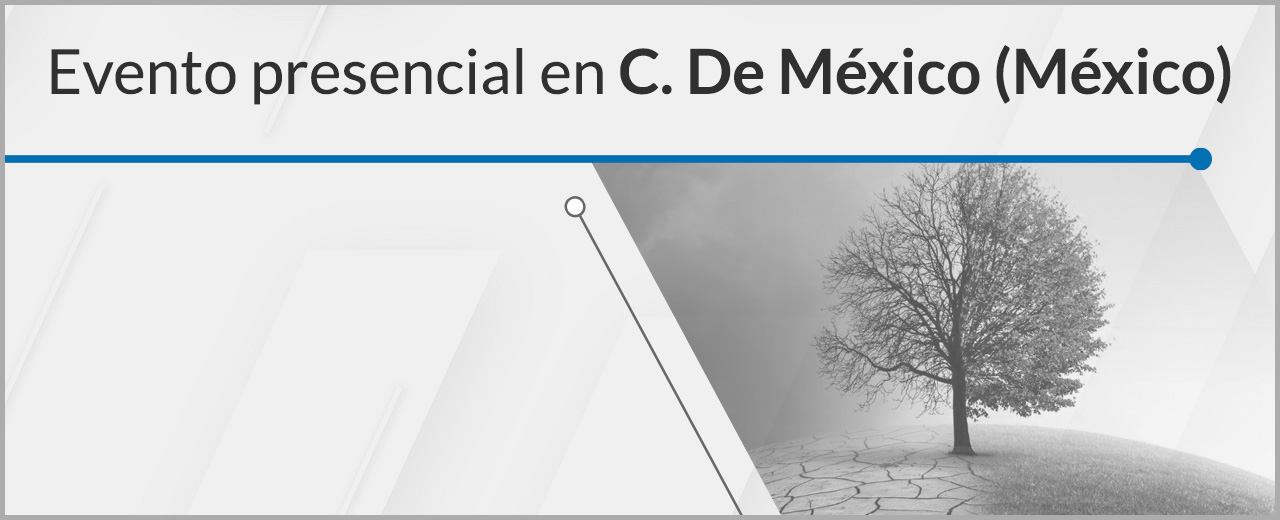 Claves para afrontar la Auditoría del Sistema de Gestión con la Enmienda AMD 1:2024